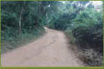 Phnom-03.jpg (173739 Byte)