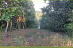 Phnom-31.jpg (232979 Byte)