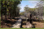 View-01.jpg (204985 Byte)