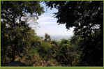 View-02.jpg (199544 Byte)