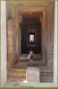 Wat-13.jpg (93675 Byte)